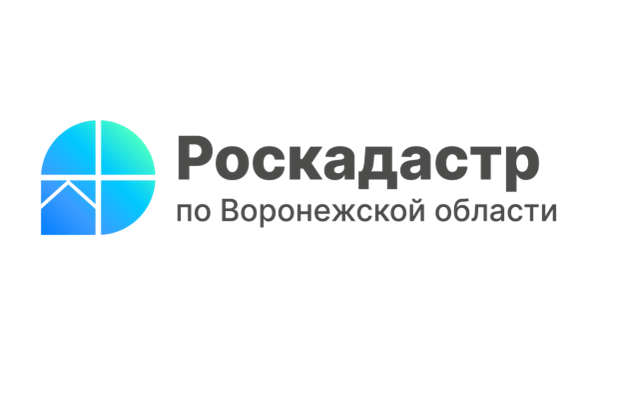 В 2025 году воронежский Роскадастр проводит комплексные кадастровые работы в отношении 184 кадастровых кварталов.